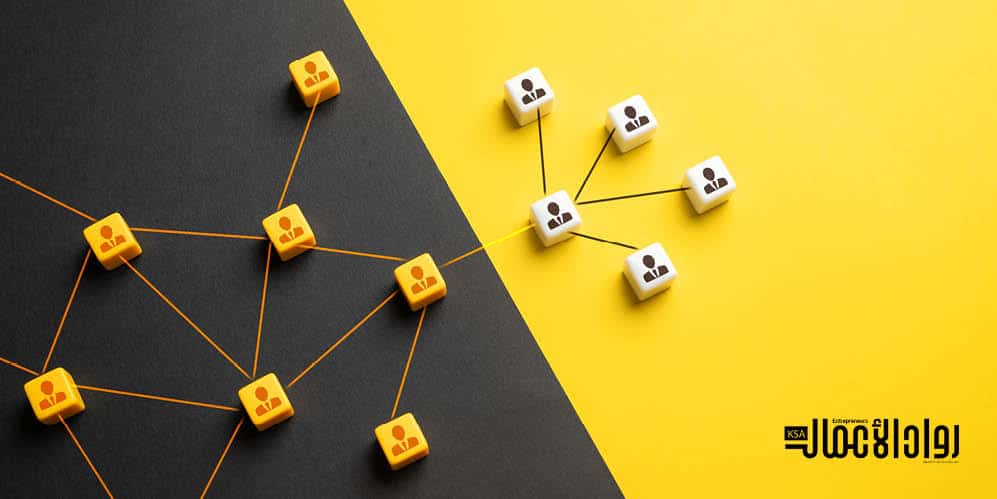 تقييم المشروع الناشئ