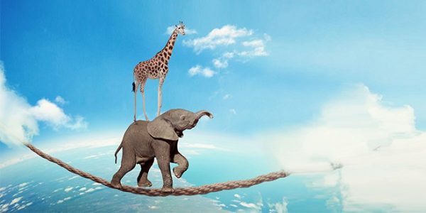 كيف تكسب ثقة الآخرين؟ كيف تكسب ثقة الآخرين؟