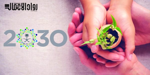 رؤية 2030