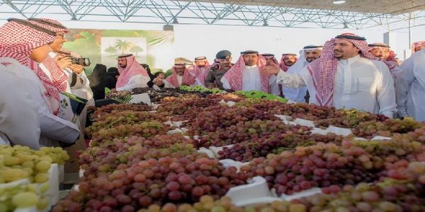 أمير منطقة القصيم