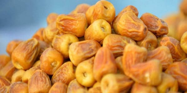 مرخيات القلايد