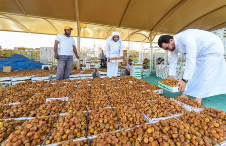 مهرجان تمور بريدة