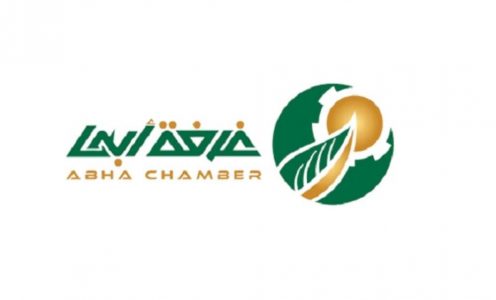 الاستثمار التعديني