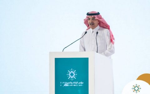 الاستدامة المالية