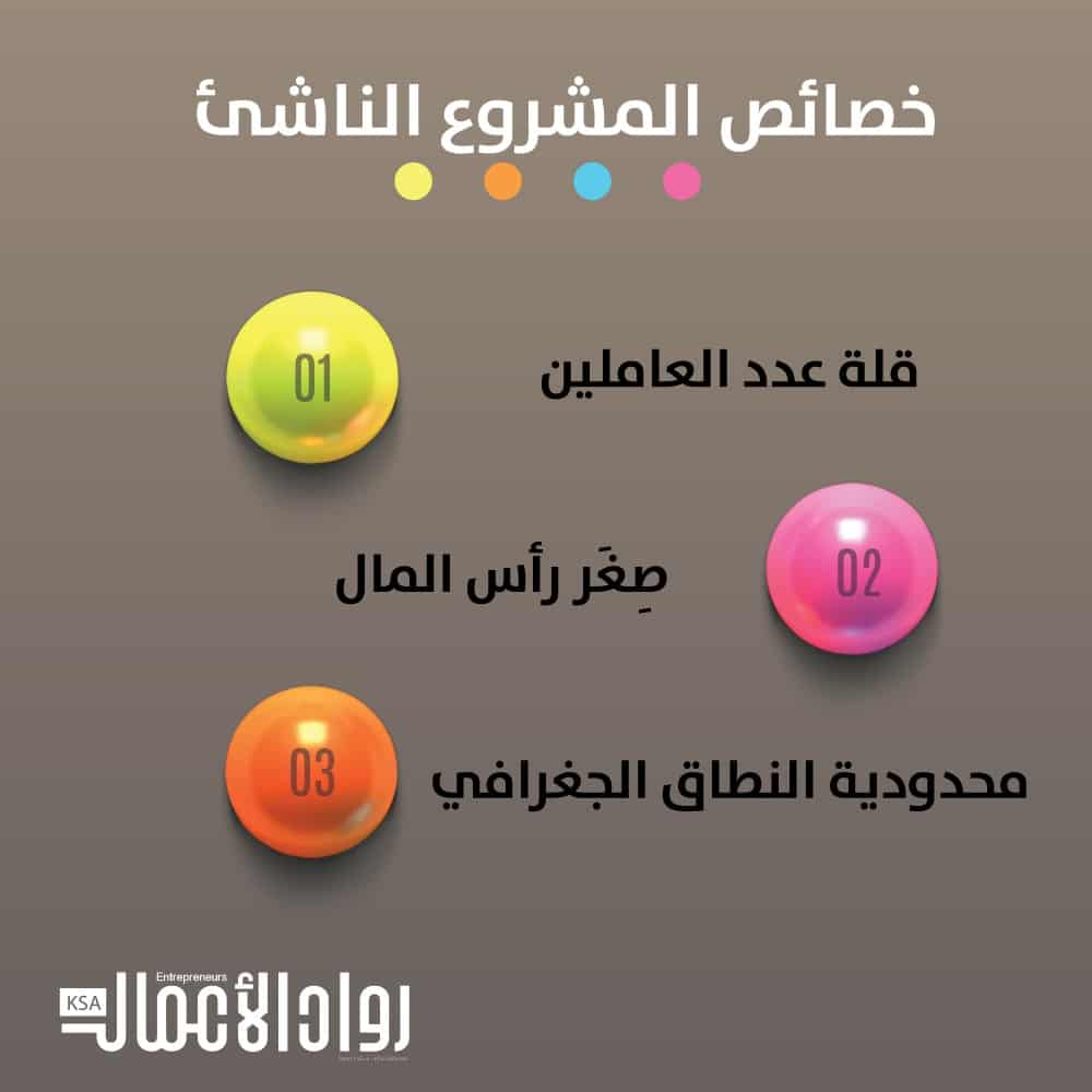 المشروع الناشئ