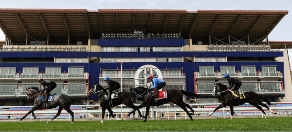 كأس السعودية للفروسية