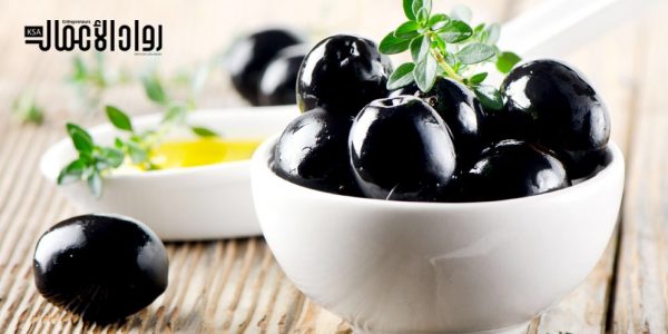 مشروع إنتاج الزيتون الأسود