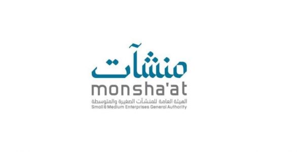 عالم المنشآت الناشئة