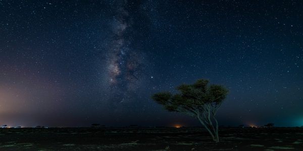 شركة البحر الأحمر