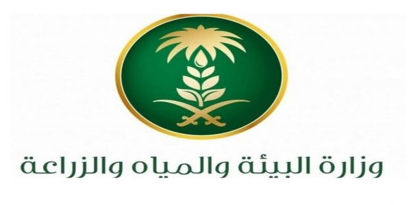 وزارة البيئة تكشف عن توفر عدد من الوظائف وزارة البيئة