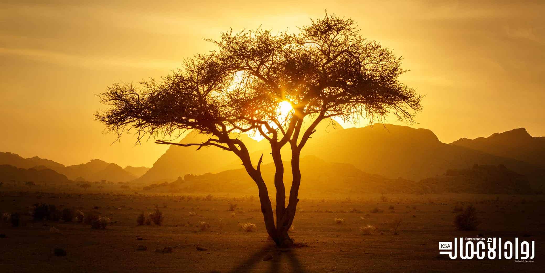 السياحة في حائل