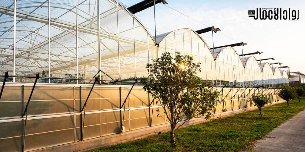 درسة جدوى مشروع الصوب الزراعية