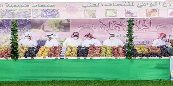 مهرجان العنب