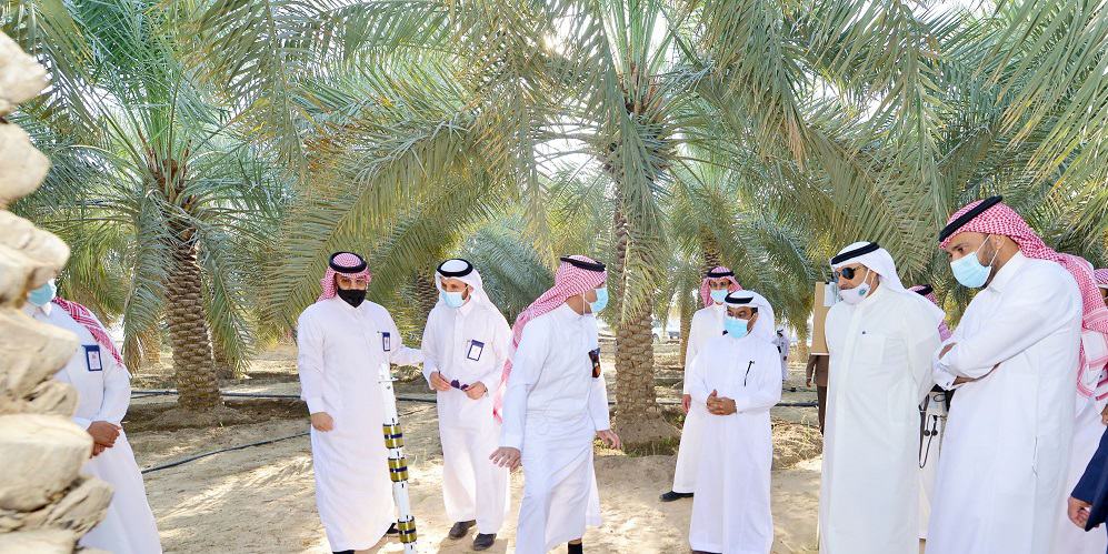 المؤسسة العامة للري