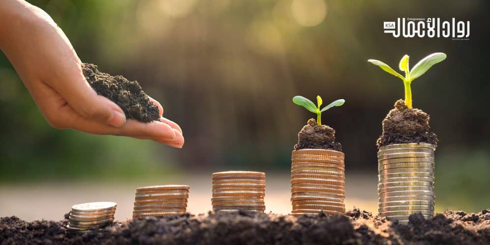 الفرنشايز الأخضر