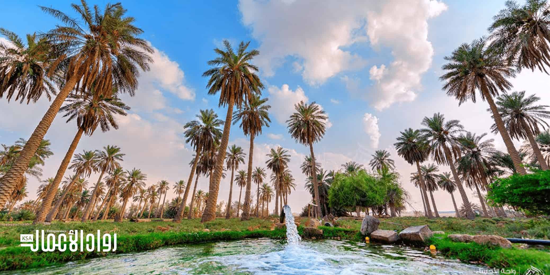مواقع أثرية سعودية