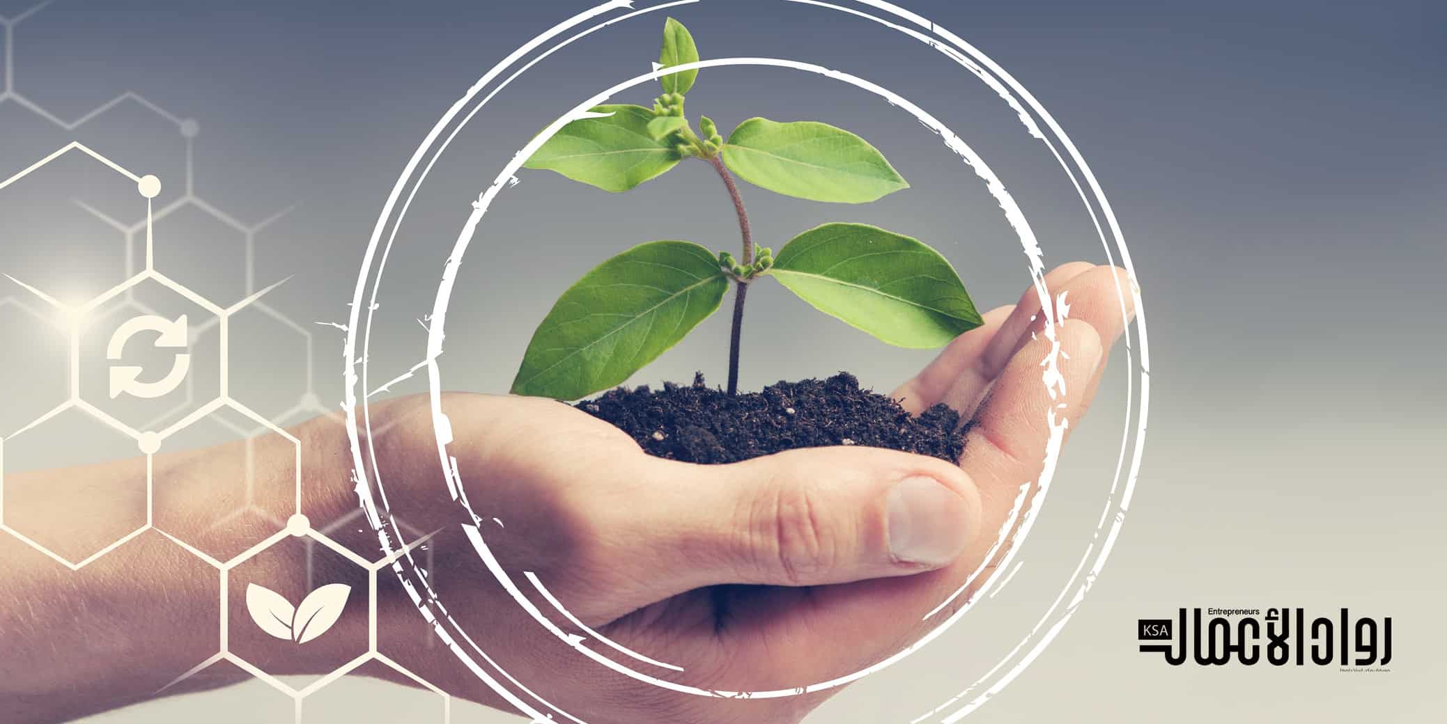 تطبيق المسؤولية الاجتماعية للشركات