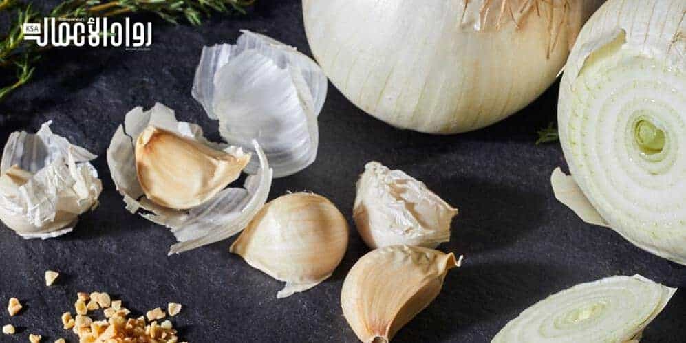 مشروع معمل تجفيف ثوم