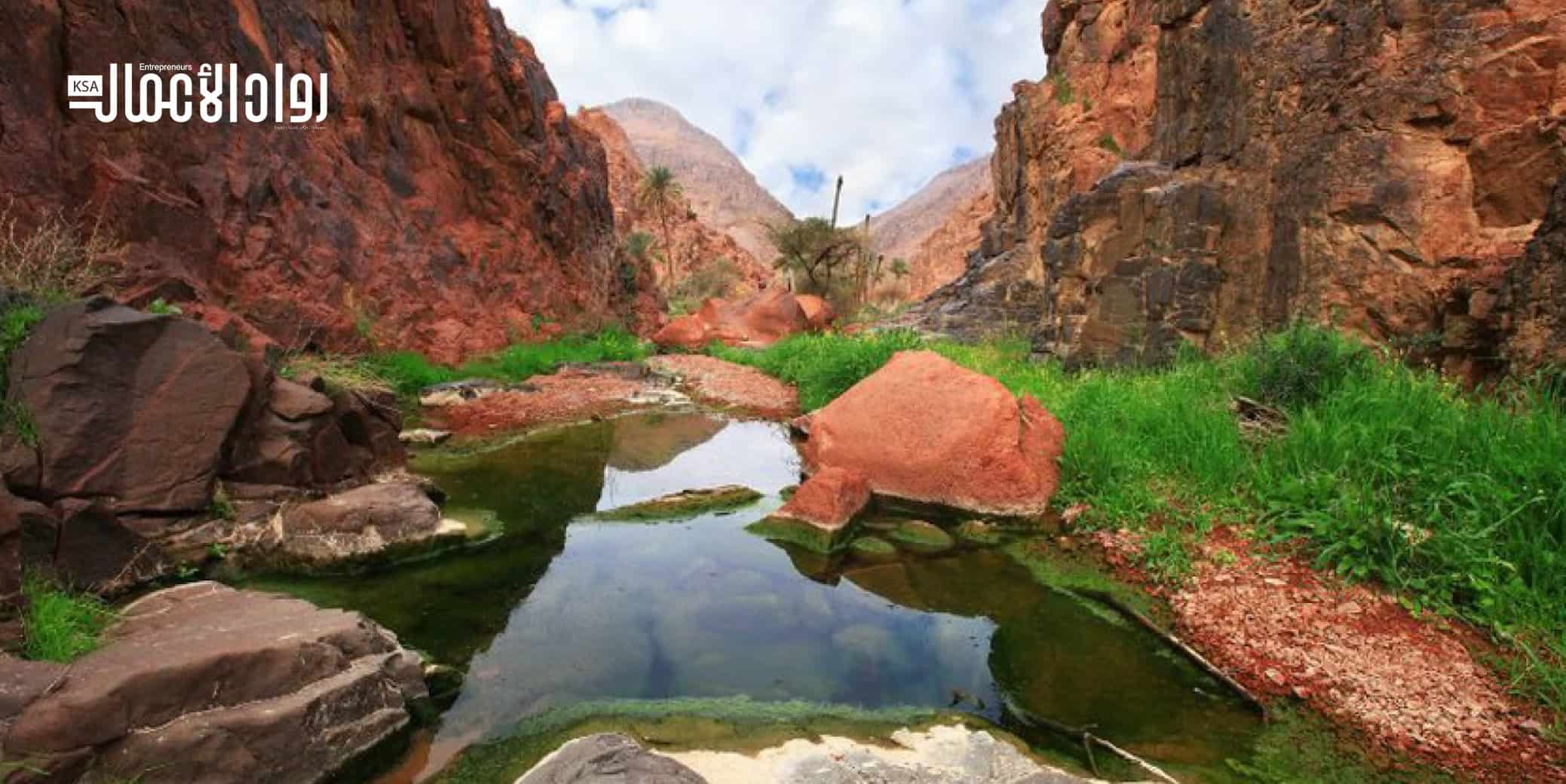 أبرز الفعاليات الرياضية في المملكة