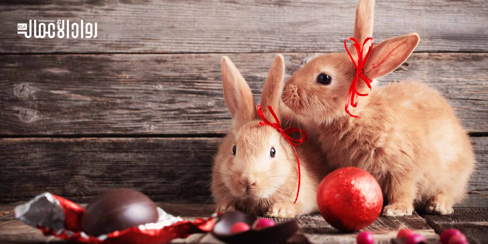 مشروع تربية الأرانب