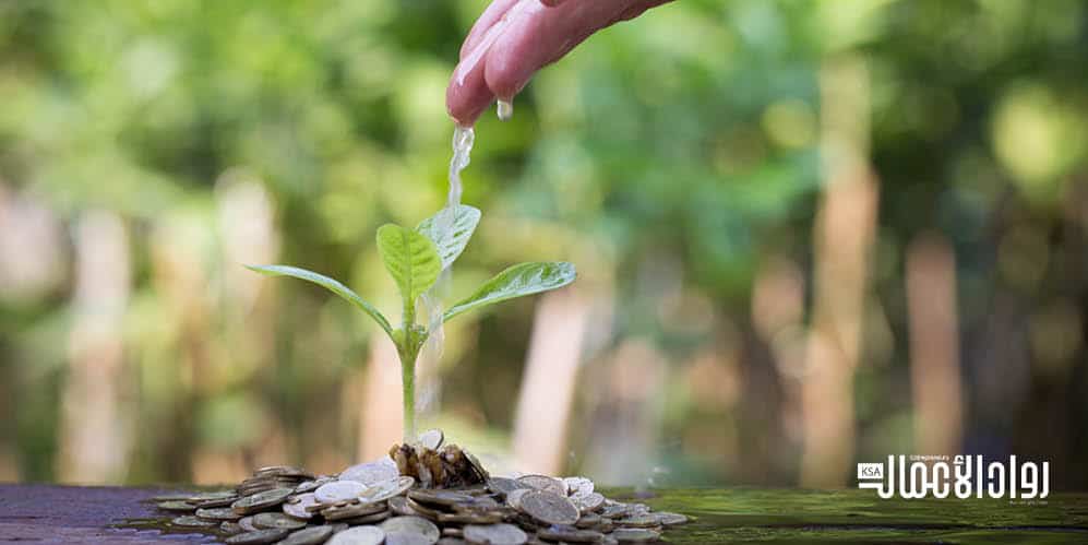 السعودية الخضراء السعودية الخضراء