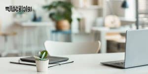 التنوع في مكان العمل