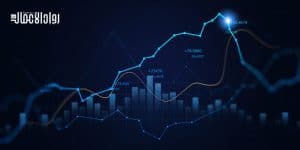 إدارة المخاطر في تمويل الاستثمارات