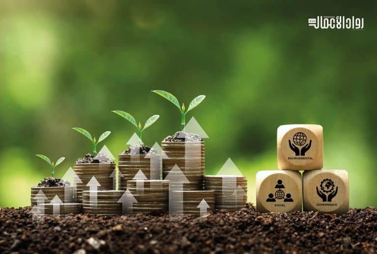تمويل المشروعات الاجتماعية