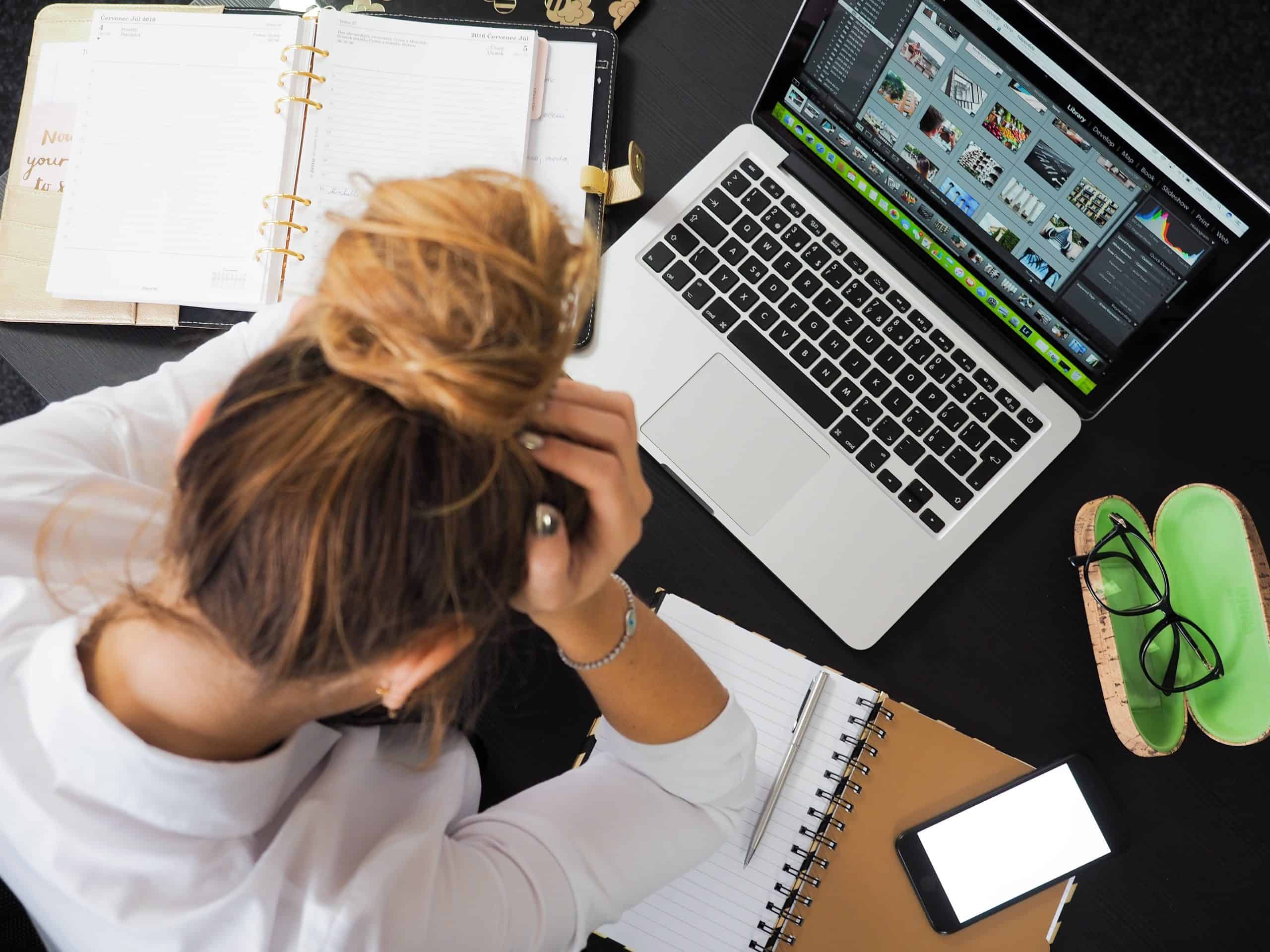 دراسة جدوى مشروعات ناجحة