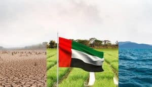 كوب 28