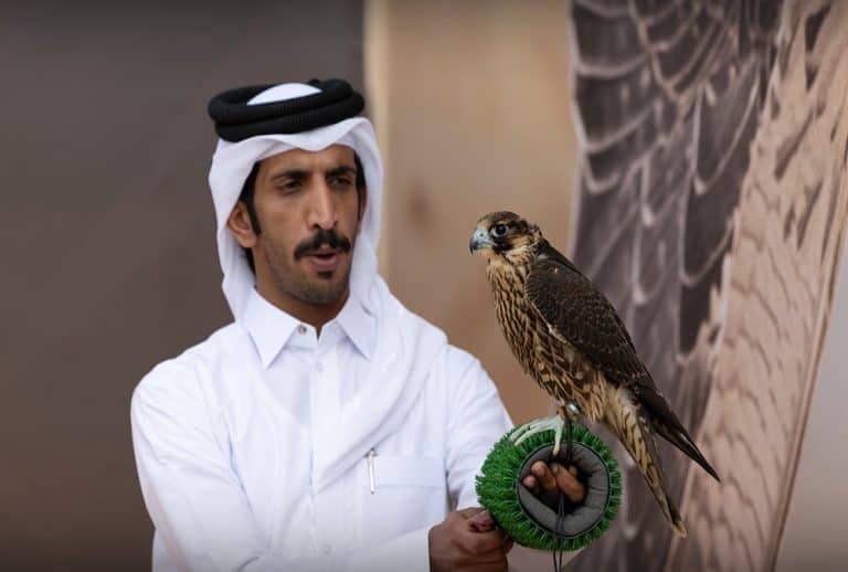 نادي الصقور السعودي يكرم الفائزين في سباق الملواح سباق الملواح