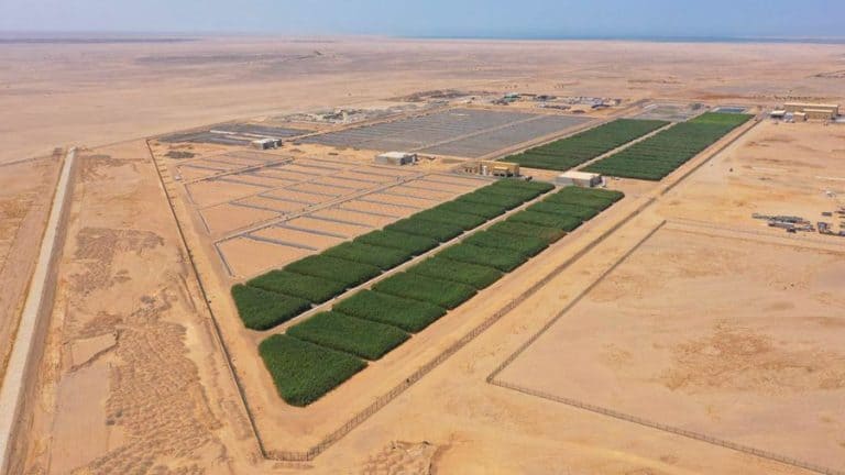 83 ألف متر مربع.. البحر الأحمر الدولية وأكوا باور تتعاونان لإنشاء أراضٍ رطبة مستدامة