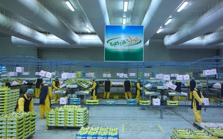 «تبوك الزراعية» توافق على طلب الرئيس التنفيذي بعدم تجديد عقده شركة تبوك للتنمية الزراعية
