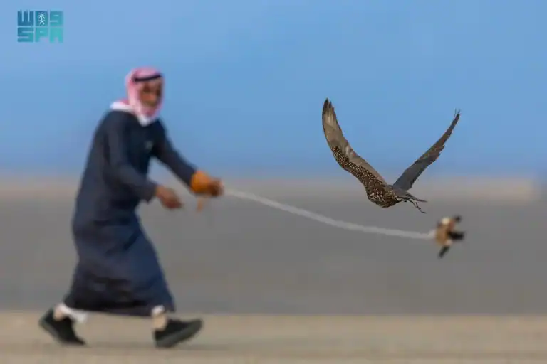 كأس العلال للصقور