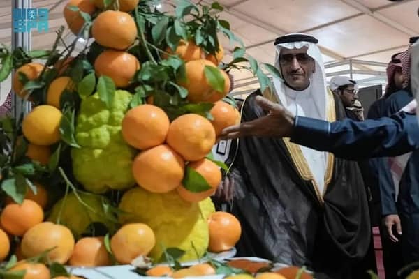 مهرجان الحمضيات ينطلق في الحريق بمشاركة 100 مزارع وعارض مهرجان الحمضيات