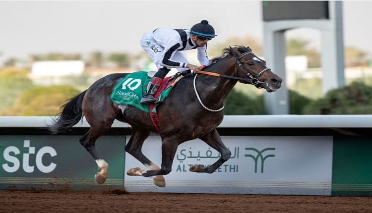 سباقات الخيول في السعودية