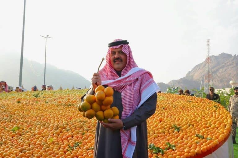 “برتقالة حائل” تهبط بأسعار المستورد في الأسواق برتقالة حائل