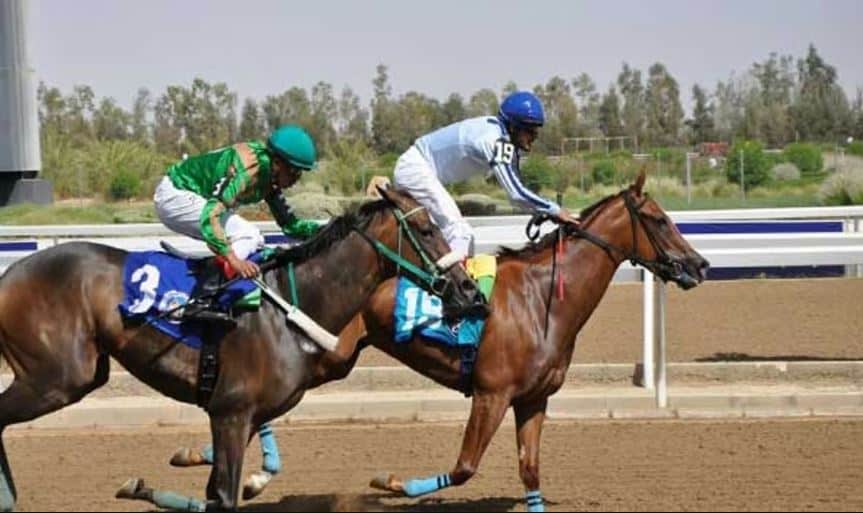 سباقات فروسية نجران