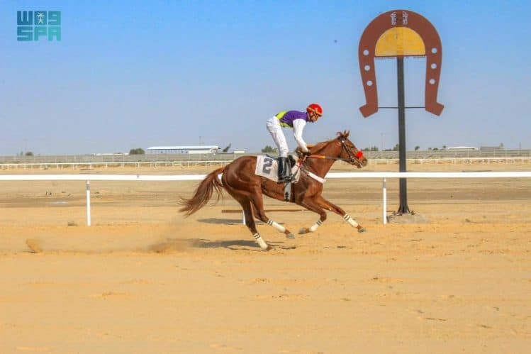 أحد المتسابقين في ميدان فروسية الأحساء