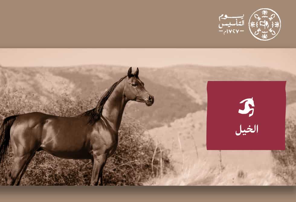 يوم التأسيس