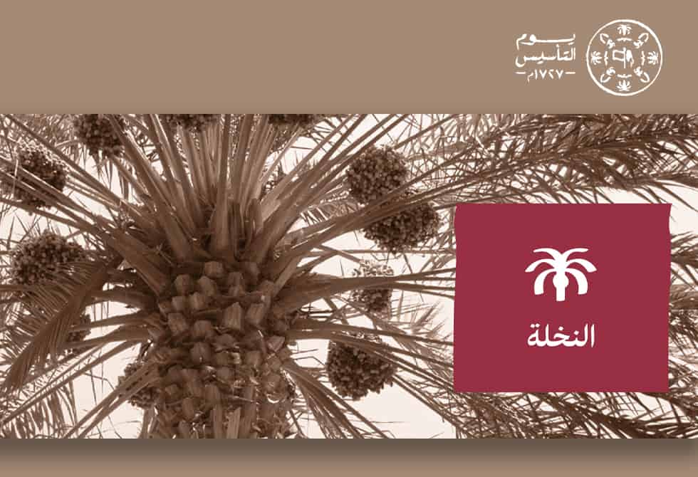 يوم التأسيس