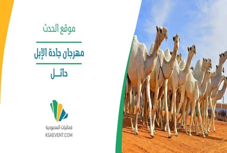 مهرجان جادة الإبل في حائل يحيل المنطقة إلى وجهة اقتصادية واستثمارية واعدة مهرجان جادة الإبل بحائل