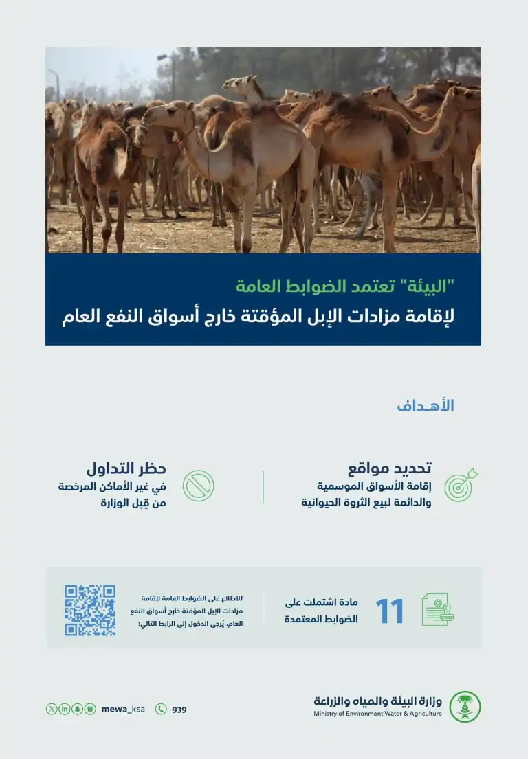 «البيئة» تعتمد (11) مادة لإقامة مزادات الإبل المؤقتة خارج أسواق النفع العام وزارة البيئة