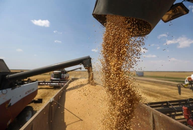 المملكة وغانا يبحثان سبل تعزيز التعاون في مجالات الزراعة والأمن الغذائي الأمن الغذائي