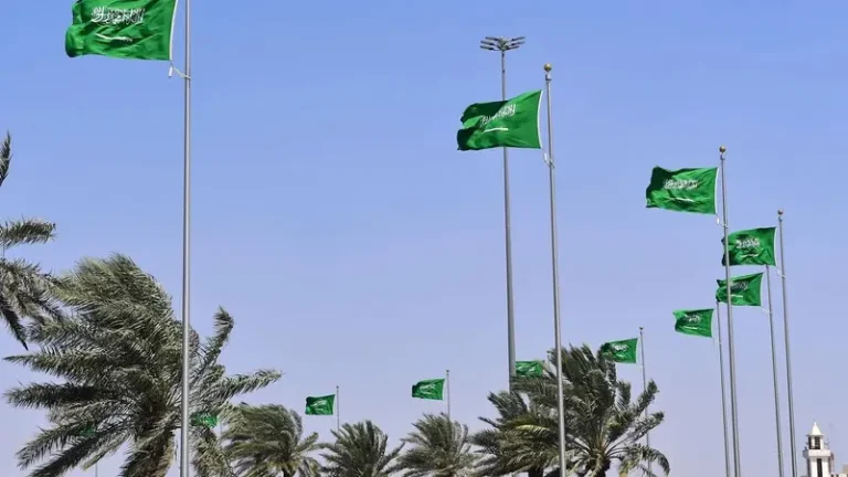 المملكة