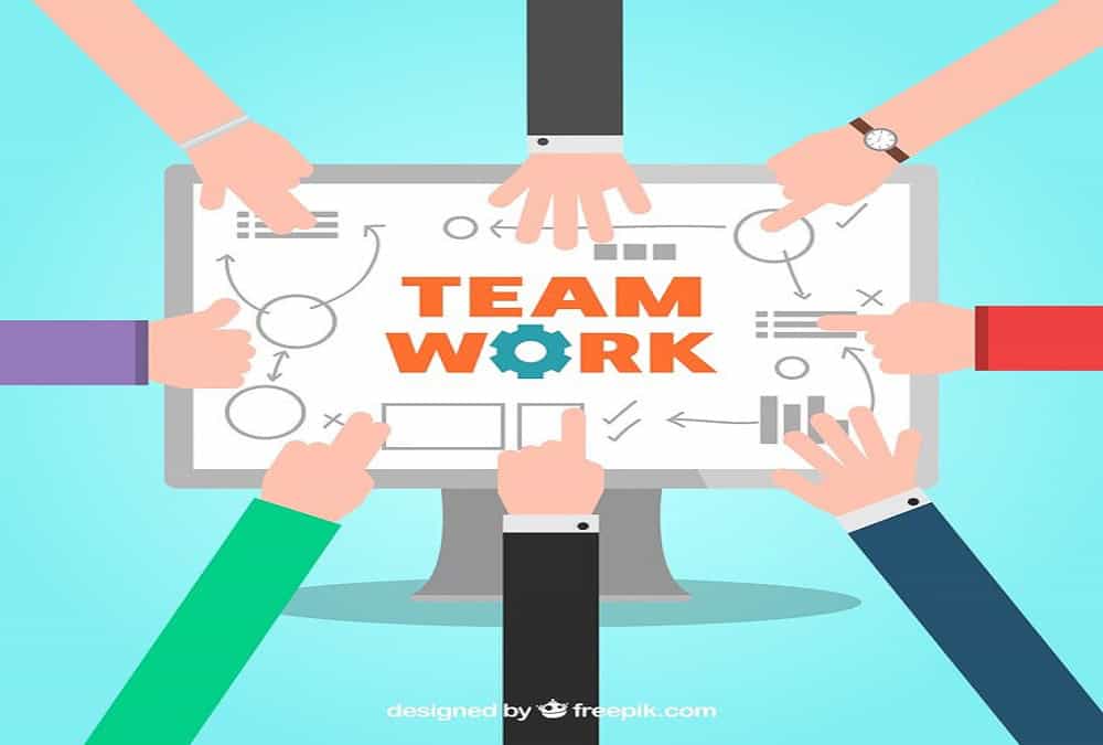 ثقافة الفريق