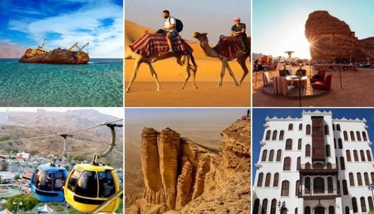 قطاع السياحة في المملكة 