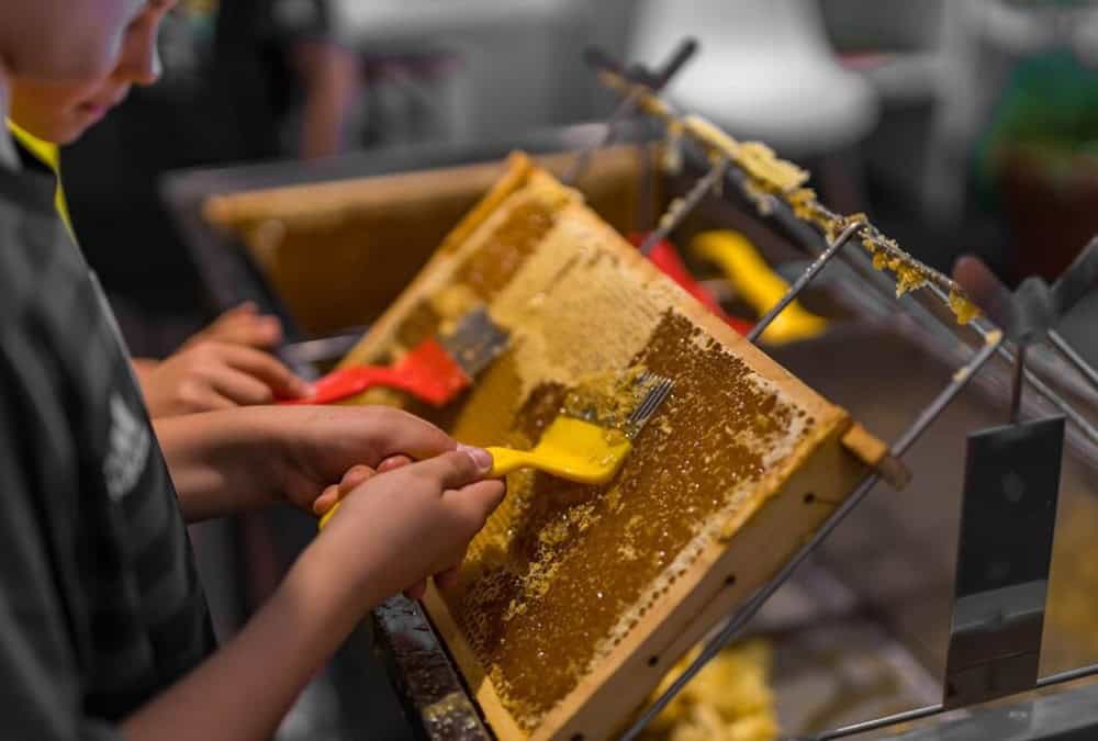 مشروع تعبئة العسل