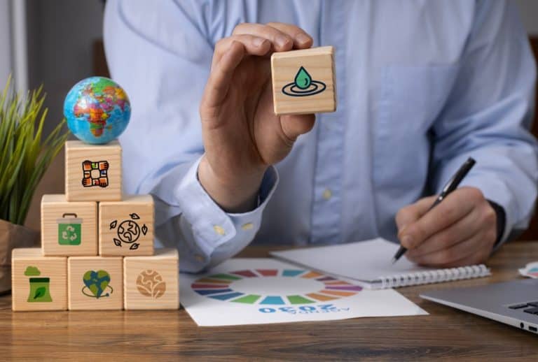 الأنظمة البيئية للشركات الناشئة