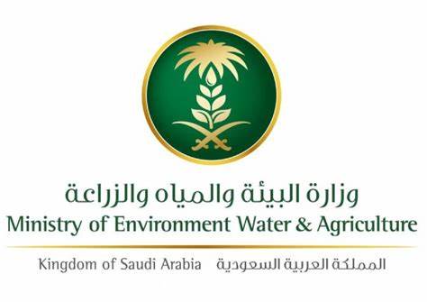 “البيئة” تحقق أرقامًا قياسية.. بينها أكبر منتج للمياه المحلاة عالميًا وزارة البيئة والمياه والزراعة: المملكة تحقق أرقام قياسية في مشاريع قطاع المياة